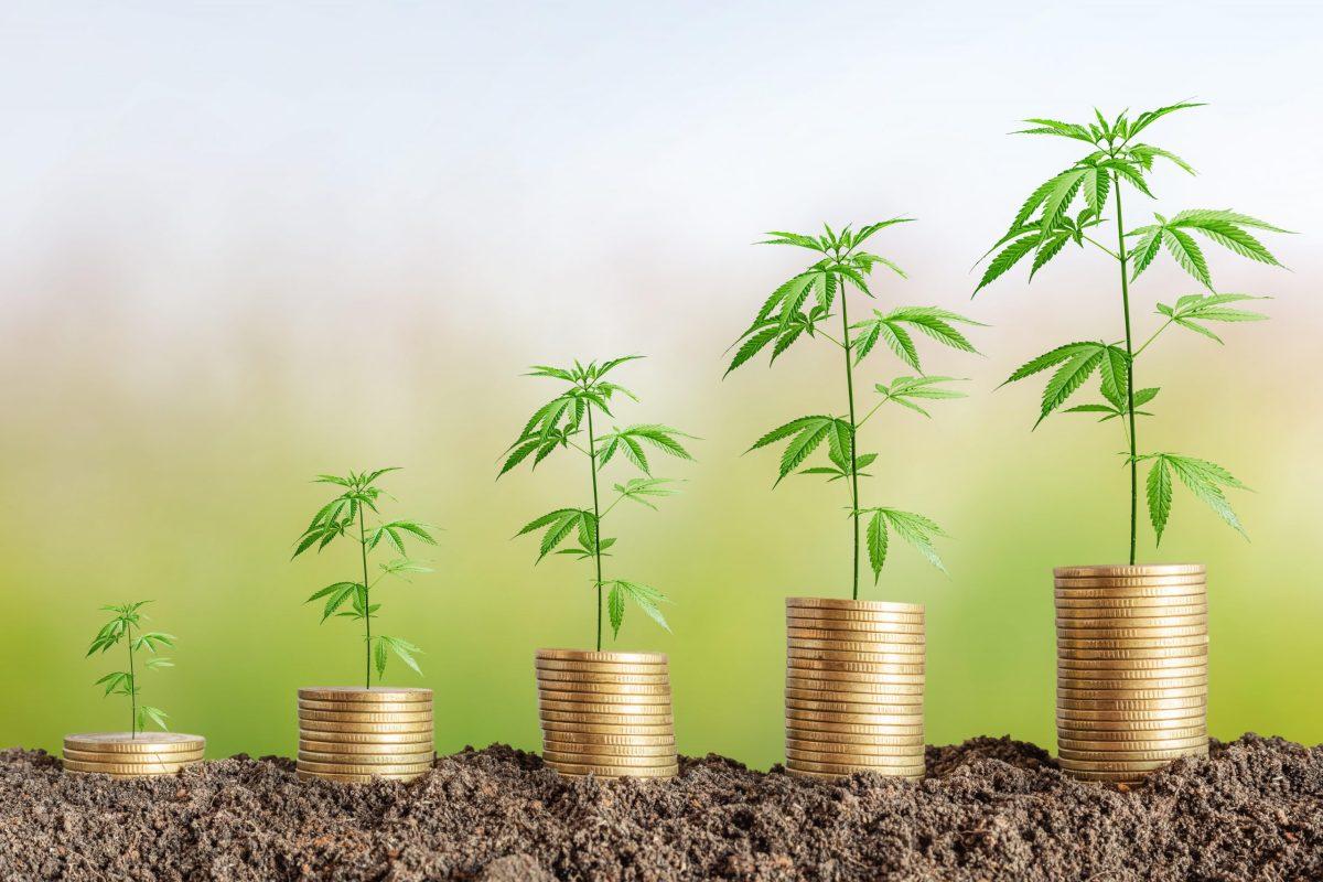 Since legalization in 2012 and implementation in 2014, the cannabis industry has had a booming impact on Pueblo Countys economy. [Shutterstock photo illustration]