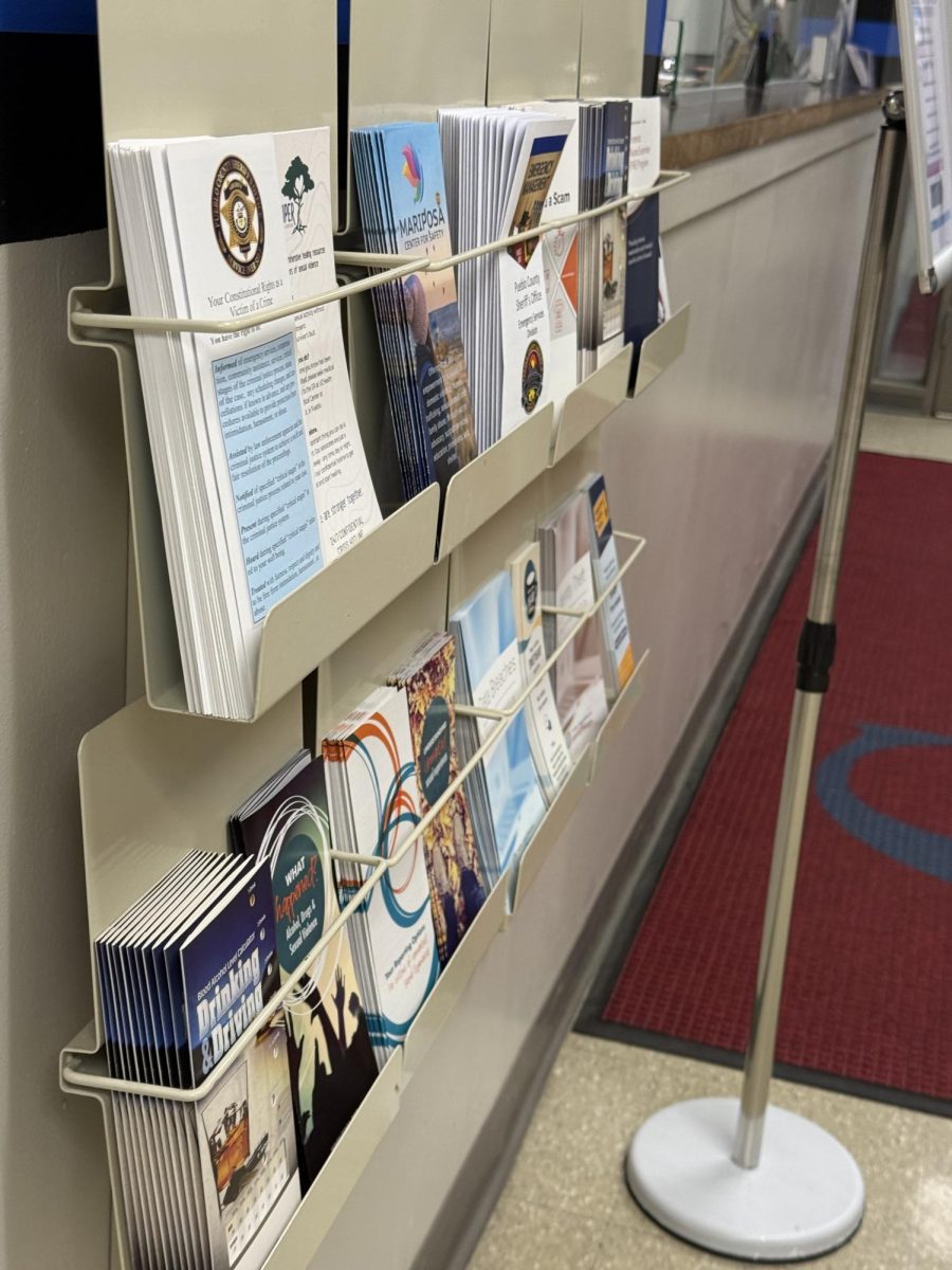 A display of public safety flyers and pamphlets. (Photo by Emma Harry)